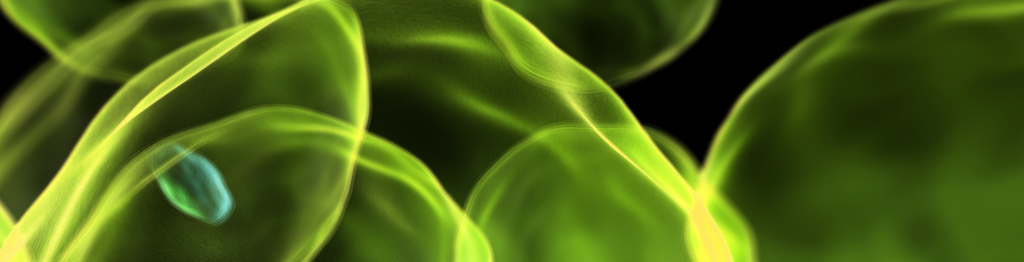 Banner - Contact Us